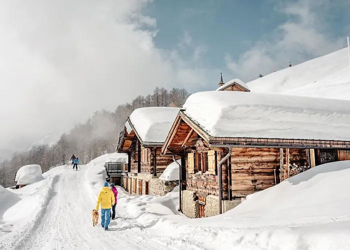 Appartement Ambiente C2 - Moderne Mit Terrasse In