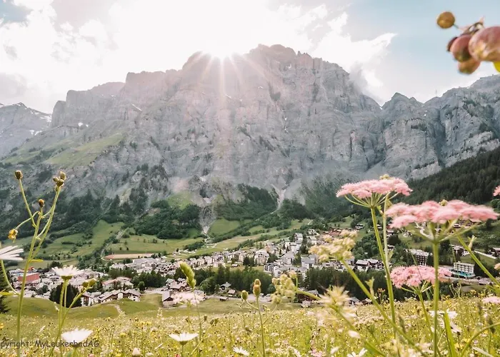 Appartement Ambiente C2 - Moderne Mit Terrasse In *